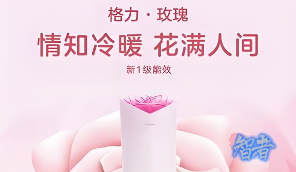 格力玫瑰空调_副本.jpg
