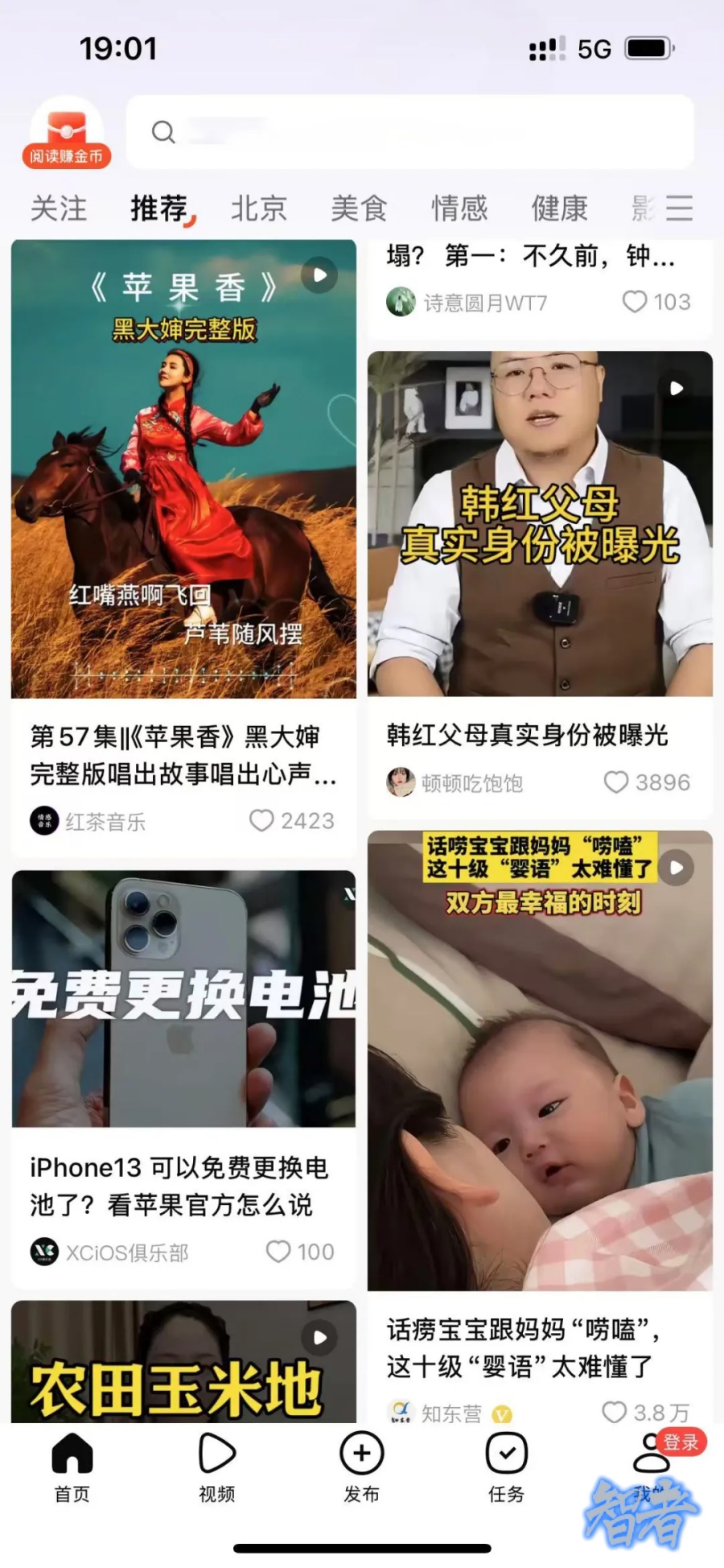 有柿_副本.jpg